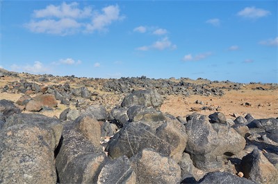 GEB05420.jpg