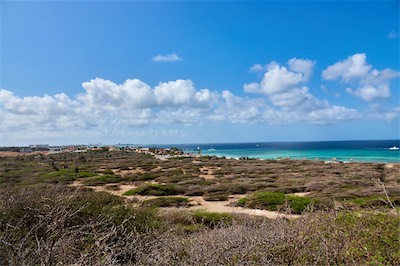 GEB05450.jpg