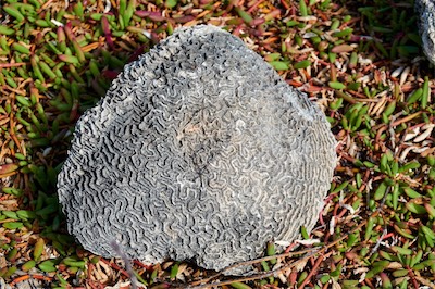 GEB05840.jpg