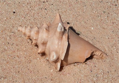 GEB05880.jpg