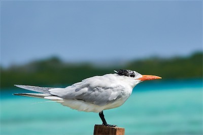GEB05881.jpg