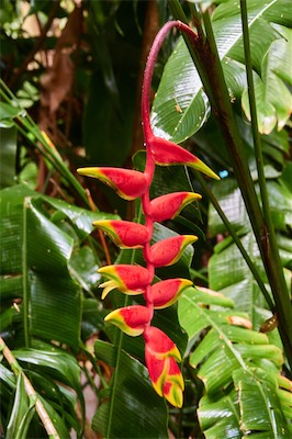 GEB05975.jpg