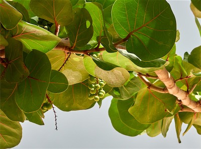 GEB06040.jpg