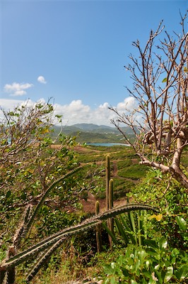 GEB06416.jpg
