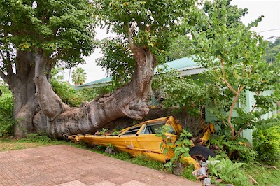 GEB06595.jpg