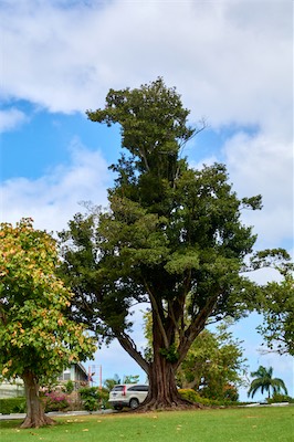 GEB06597.jpg