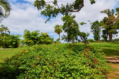 GEB06605.jpg