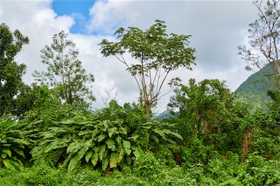 GEB06636.jpg