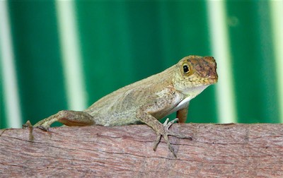 GEB06643.jpg