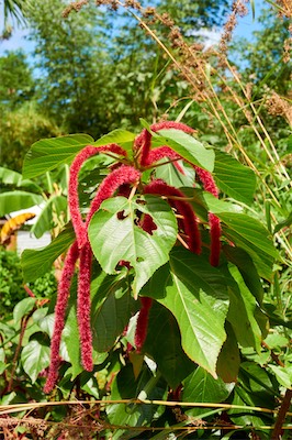 GEB06647.jpg