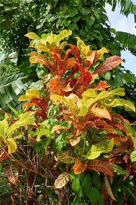 GEB06700.jpg