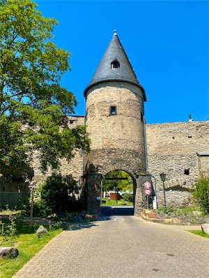 IMG_0176.jpg