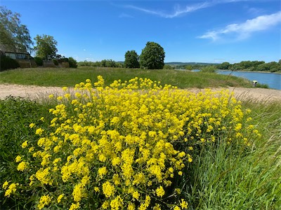IMG_0245.jpg