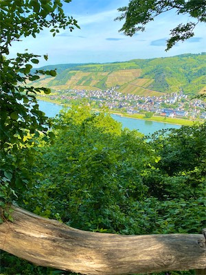 IMG_0281.jpg