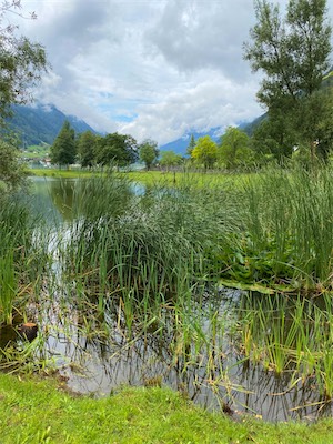 IMG_0611.jpg