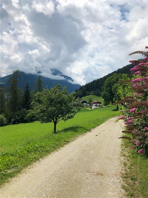 IMG_9871.jpg