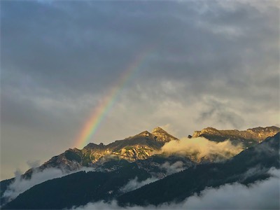 IMG_9881.jpg