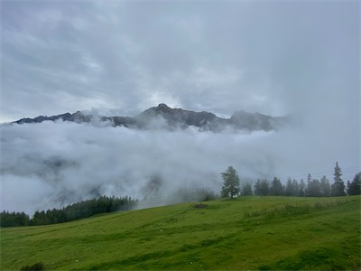 IMG_0638.jpg