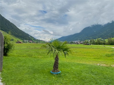 IMG_0640.jpg