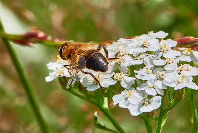 GEB07101.jpg