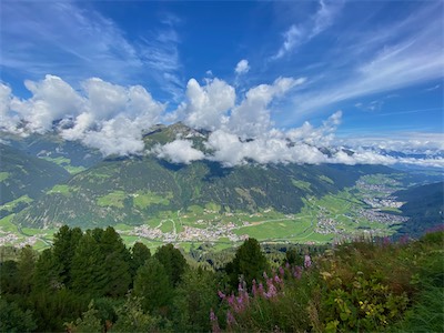 IMG_0649.jpg