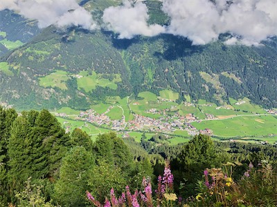 IMG_9888.jpg