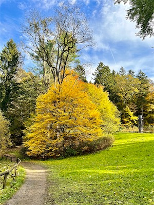 IMG_3530.jpg