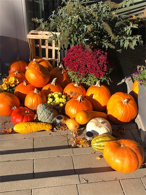 IMG_3374.jpg
