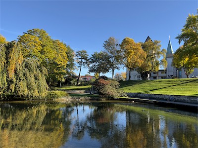 IMG_3388.jpg