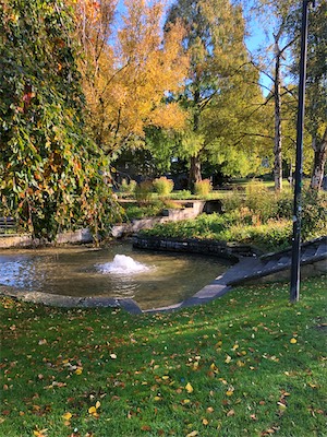 IMG_3389.jpg