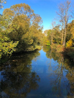IMG_3415.jpg
