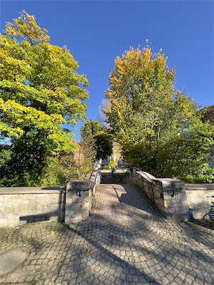 IMG_3422.jpg