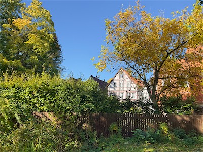 IMG_3425.jpg