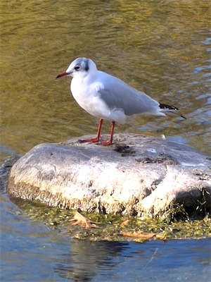 IMG_3474.jpg