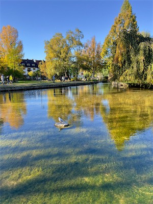 IMG_3476.jpg