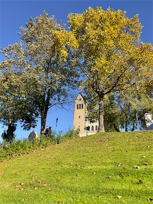 IMG_3477.jpg