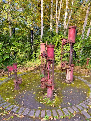 IMG_3507.jpg