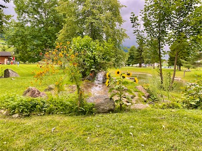 IMG_2980.jpg
