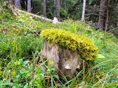 IMG_3094.jpg