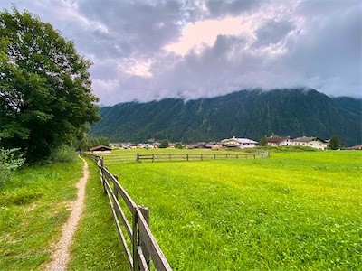 IMG_3116.jpg