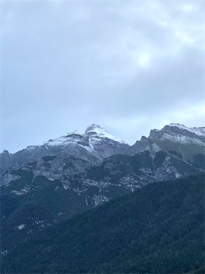 IMG_2930.jpg