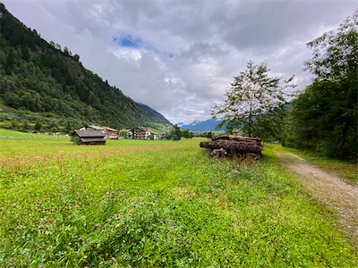 IMG_3171.jpg