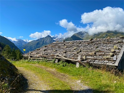 IMG_3186.jpg