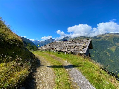 IMG_3187.jpg