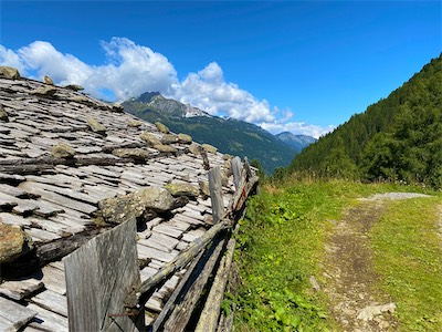 IMG_3203.jpg
