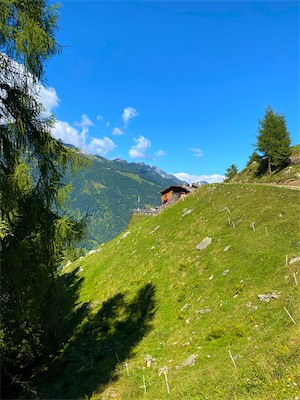 IMG_3209.jpg