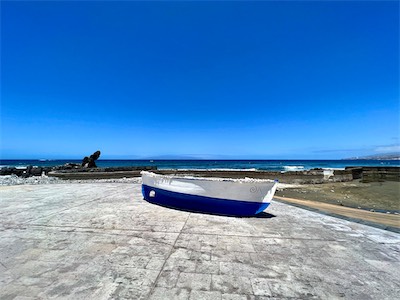 IMG_4639.jpg