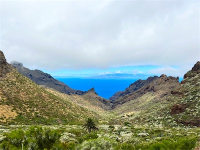 IMG_4954.jpg