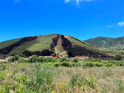 IMG_4959.jpg
