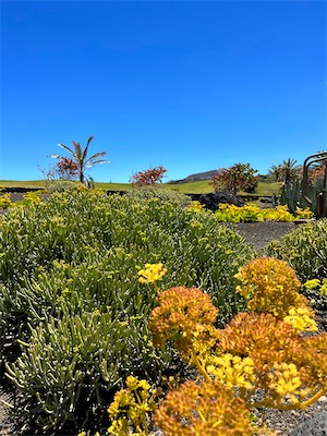 IMG_4976.jpg